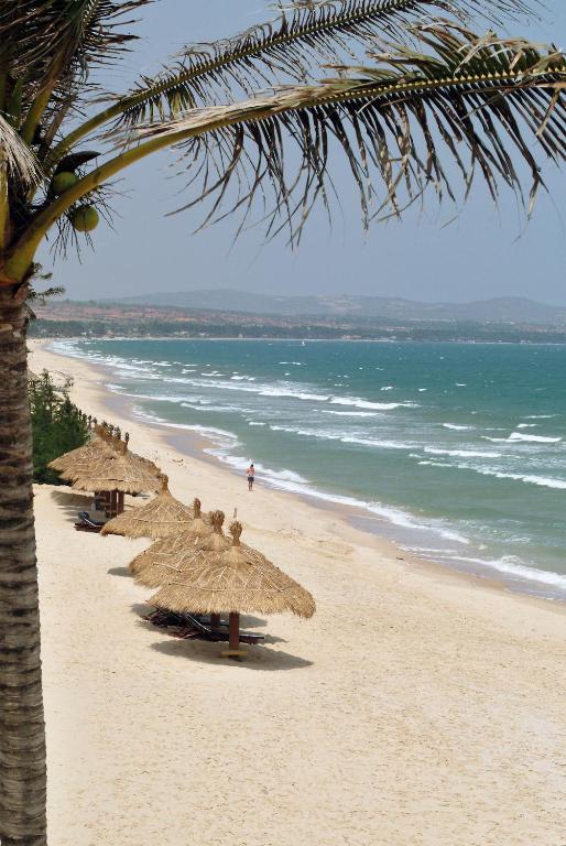 Capture the authentic charm of Vietnam’s lush scene